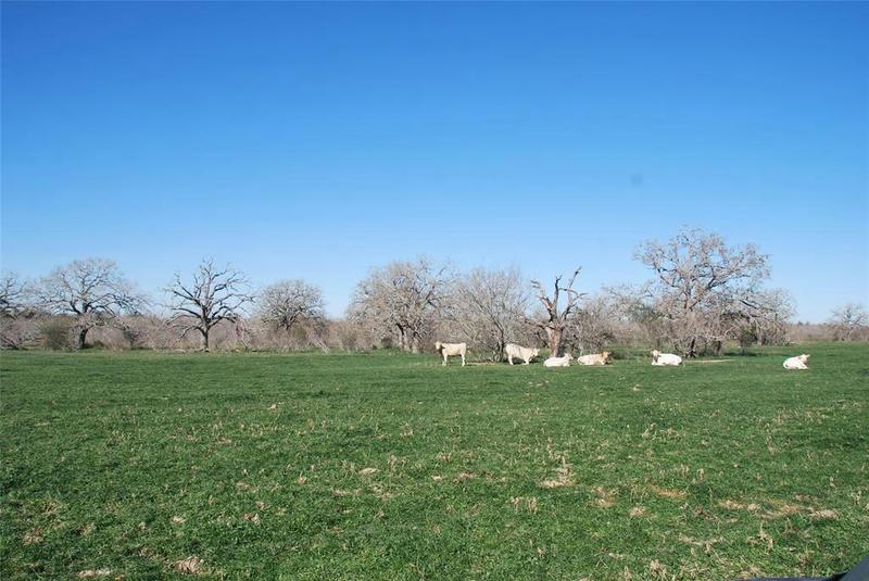 TBD COUNTY RD 401, Flatonia, TX 78941 Farm For Sale  MLS# 8807451