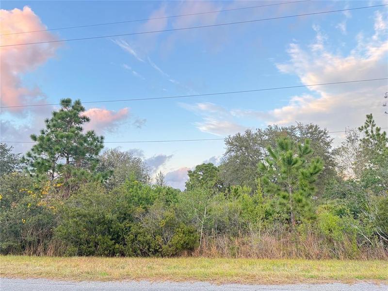 0 Robertson Street, Orlando, FL 32833 for Sale
