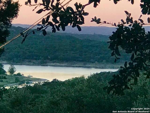 2125 ISLAND VW, Canyon Lake, TX 78133 Single Family Residence For Sale  MLS# 1748745