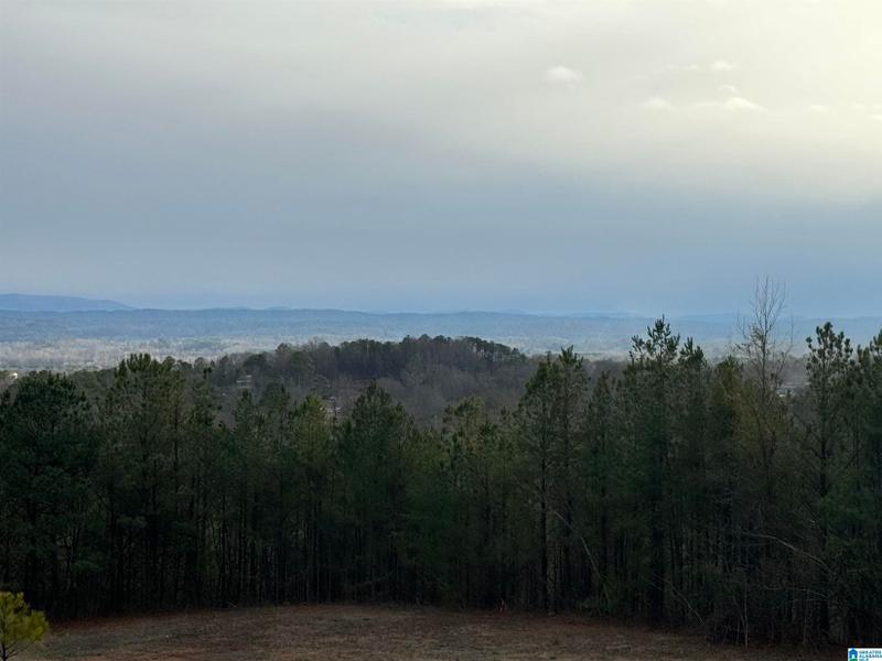 Oxford, Calhoun County, AL Homesites for sale Property ID: 418708588