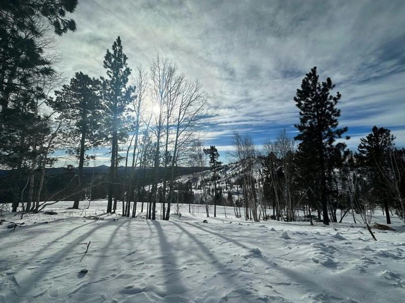 LOT 38 DEER MOUNTAIN ROAD, Lead, SD 57754 Land For Sale  MLS# 78791