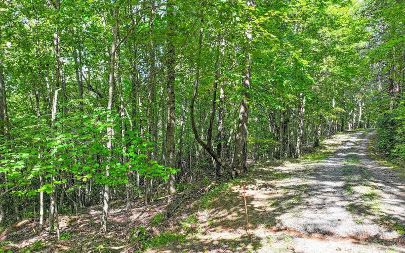 Mineral Bluff, Fannin County, GA Undeveloped Land, Homesites for sale Property ID: 417367966