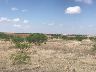 N Hwy 208, Snyder, TX 79549 for Sale