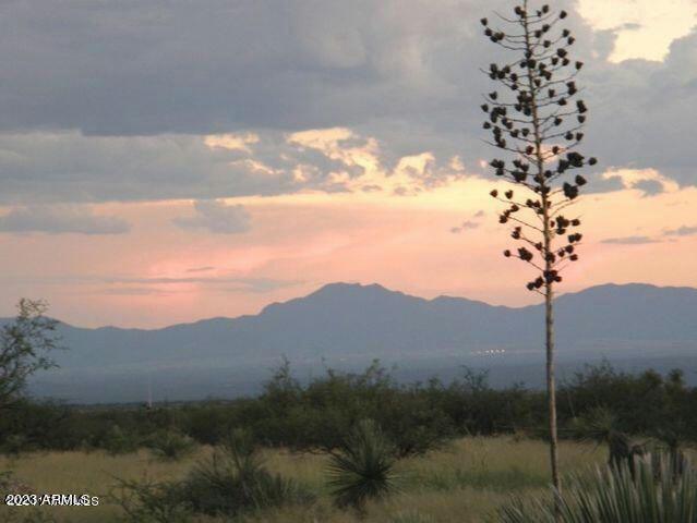 LOT 48 S DE NIZA ROAD # LOT 48, Saint David, AZ 85630 Land For Sale  MLS# 6639476 for Rent