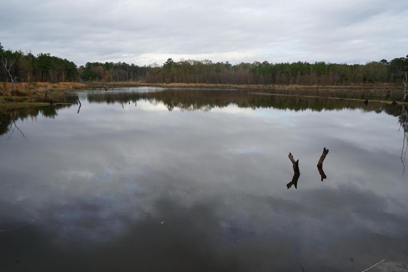 Georgiana, Butler County, AL Recreational Property, Timberland Property, Hunting Property, Lakefront Property, Waterfront for Sale