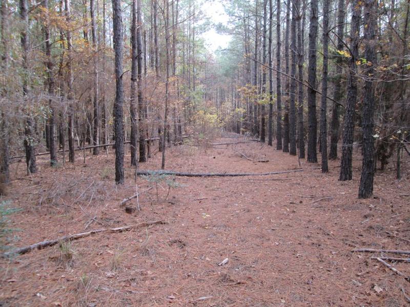 Canton, Van Zandt County, TX Farms and Ranches, Recreational Property, Timberland Property for sale Property ID: 418513452