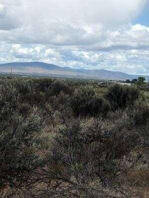600 off Pettus Lake Lane, Christmas Valley, OR 97641  623890903 for Sale