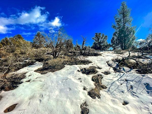 Chiloquin, Klamath County, OR Recreational Property, Undeveloped Land, Homesites for sale Property ID: 418584014