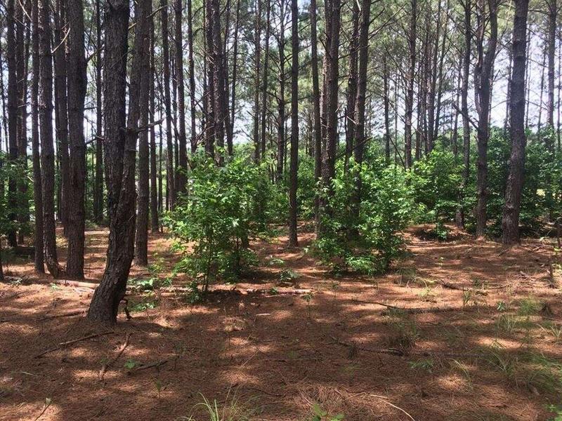 14523 BECKENRIDGE DRIVE, UPATOI, GA 31829  624294095 for Sale