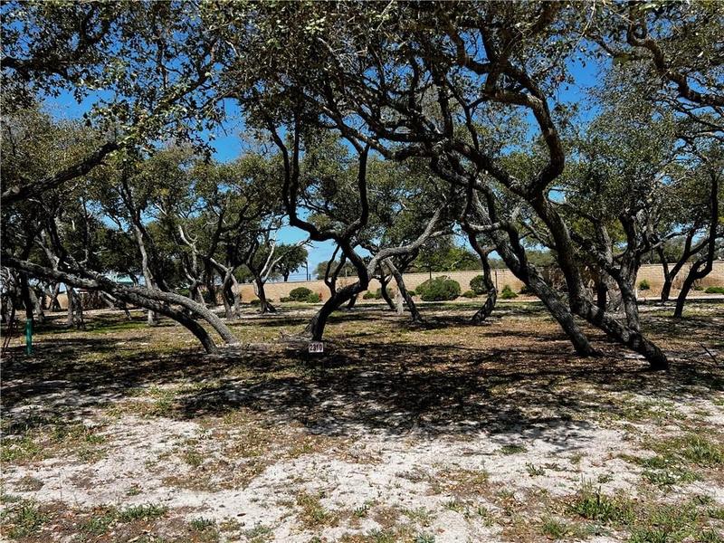 2310 Royal Oaks, Fulton, TX 78358 for Sale