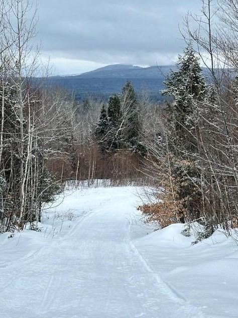 30 Spruce Pond Rd, Limington, ME 04961 - MLS 1582025 for Sale