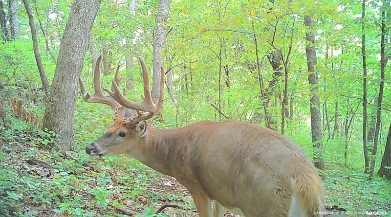 Soldiers Grove, Crawford County, WI Recreational Property, Hunting Property for sale Property ID: 418730822