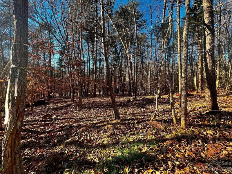 Davidson, Iredell County, NC Undeveloped Land, Homesites for sale Property ID: 418710498