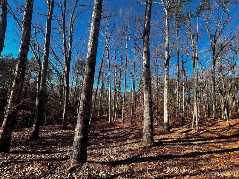 Davidson, Iredell County, NC Undeveloped Land, Homesites for sale Property ID: 418710496