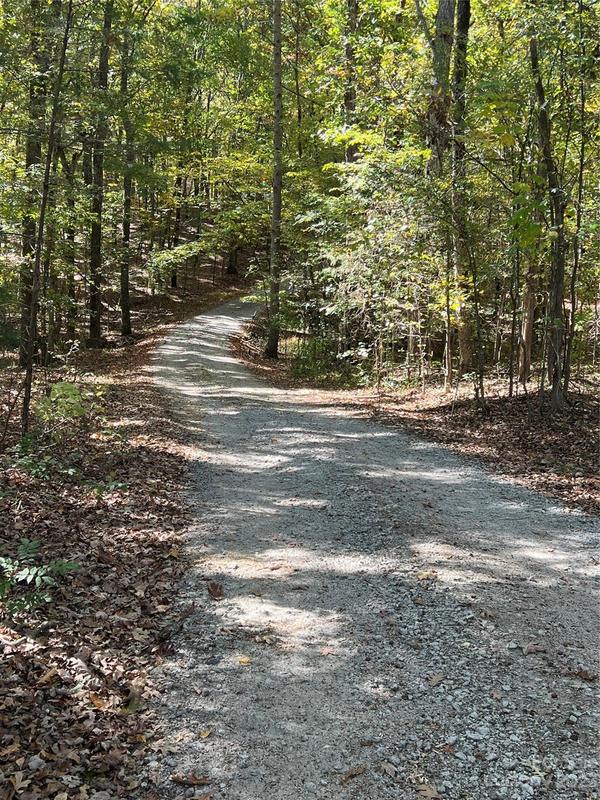 1765 Carnes Wilson Road, Lancaster, SC 29720 for Sale