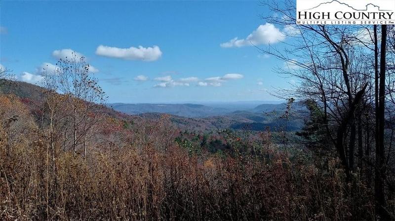 Purlear, Wilkes County, NC Undeveloped Land for sale Property ID: 418330456