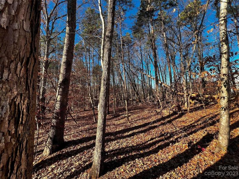 Davidson, Iredell County, NC Undeveloped Land, Homesites for sale Property ID: 418710493