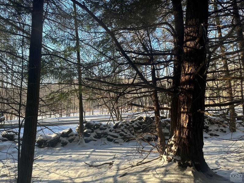 Jewett, Greene County, NY Undeveloped Land for sale Property ID: 418699054
