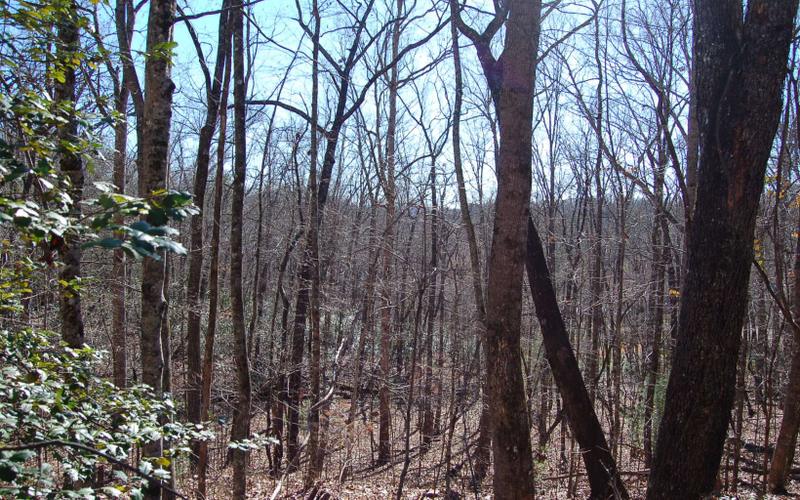 0 Timberline Lane, Hayesville, NC 28904 for Sale