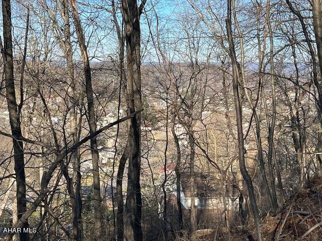 Bedford, Bedford County, PA Undeveloped Land, Homesites for sale Property ID: 418551875