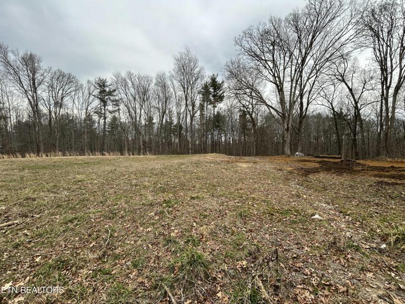 1070 CHESTNUT RIDGE RD, Allardt, TN 38504 Land For Sale  MLS# 1252215 for Rent
