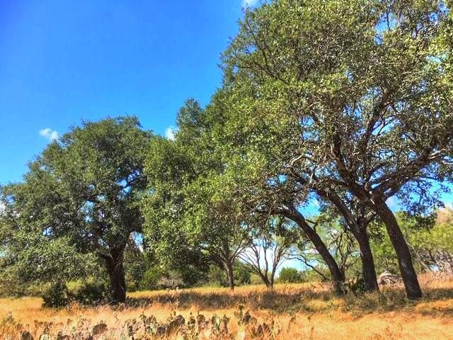 2W Tract 2 County Road 2200, Lometa, TX 76853 for Sale