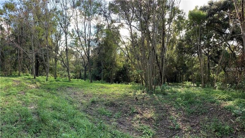 359 Savannah Oaks Drive, Brooksville, FL 34602 for Sale