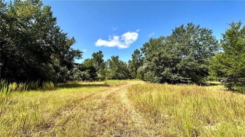 Tbd Pin Oak Rd, Franklin, TX 77856 for Sale