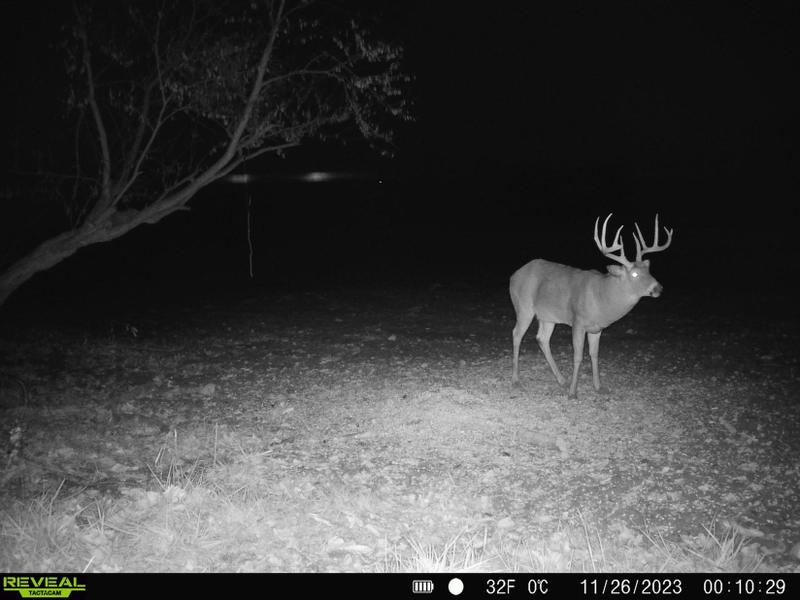 Bainbridge, Highland County, OH Farms and Ranches, Hunting Property for sale Property ID: 418627451