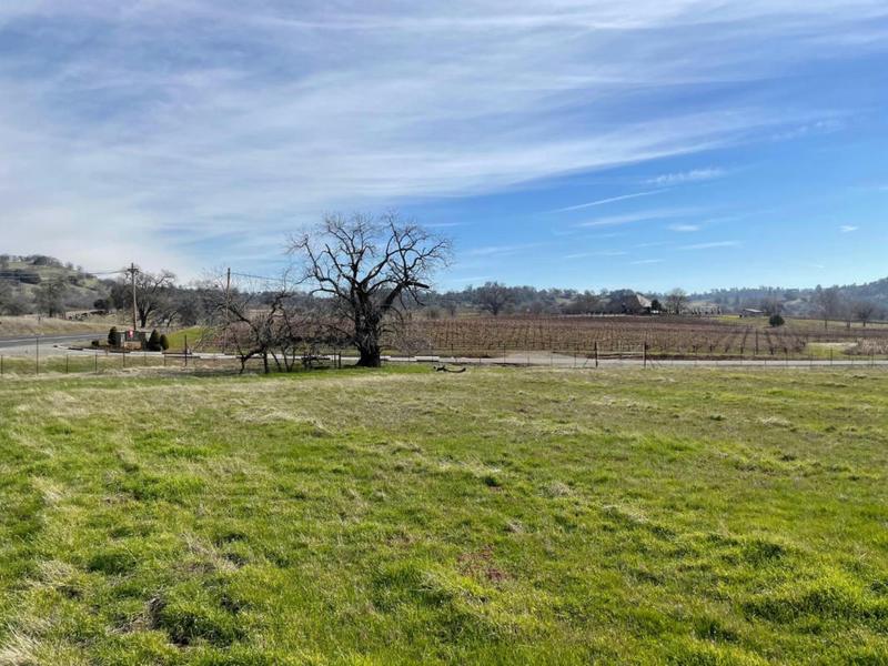 11850 SHENANDOAH RD, Plymouth, CA 95669 Land For Sale  MLS# 224009003 for Rent