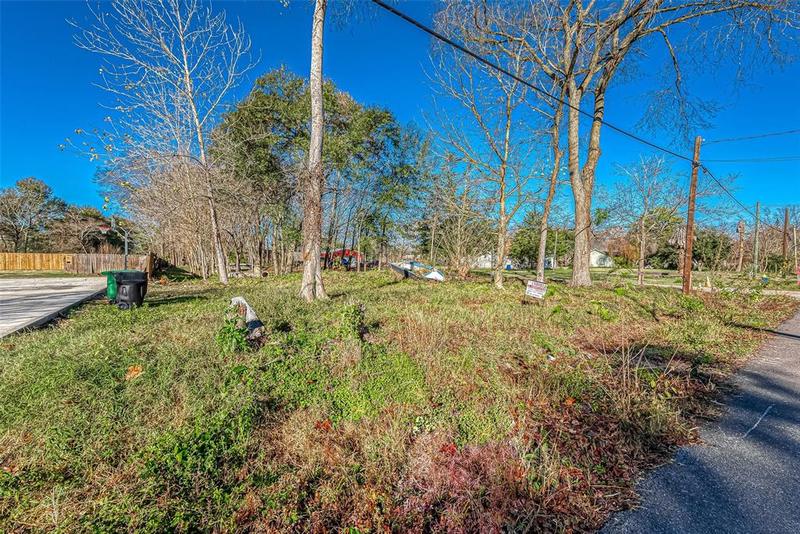0 Willow Street, Houston, TX 77088 for Sale