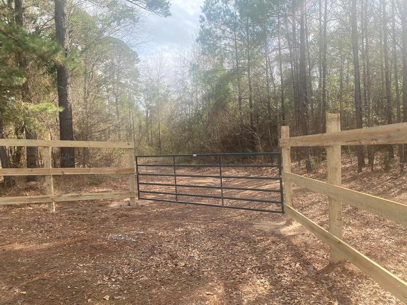 TBD State Hwy 49, Daingerfield, TX 75638 for Sale