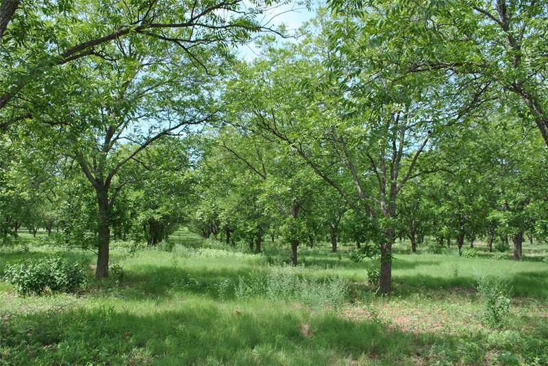 000 County Rd 434, De Leon, TX 76444 for Sale