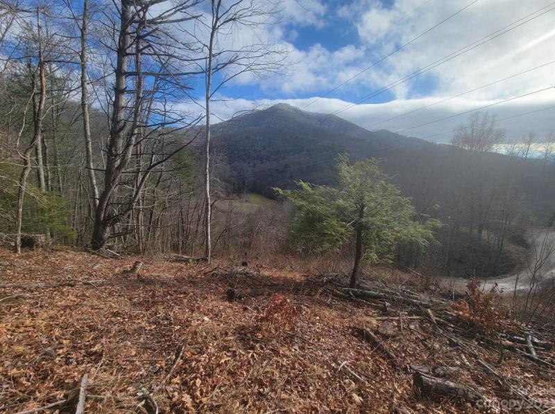 1800 Water Wheel Cove, Clyde, NC 28721 - MLS 4106787 for Sale