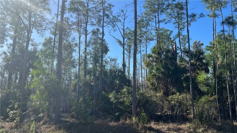 Naples, Collier County, FL Undeveloped Land, Homesites for sale Property ID: 418924697