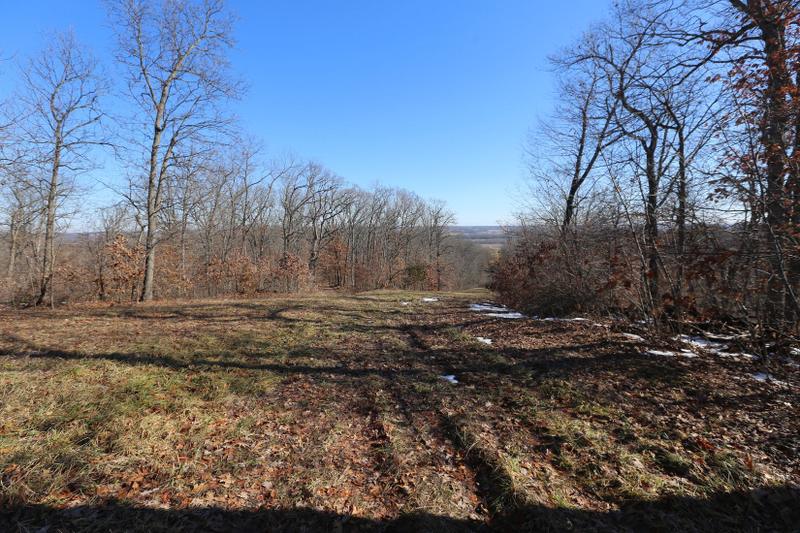 New Boston, Macon County, MO Recreational Property, Timberland Property for sale Property ID: 418667398