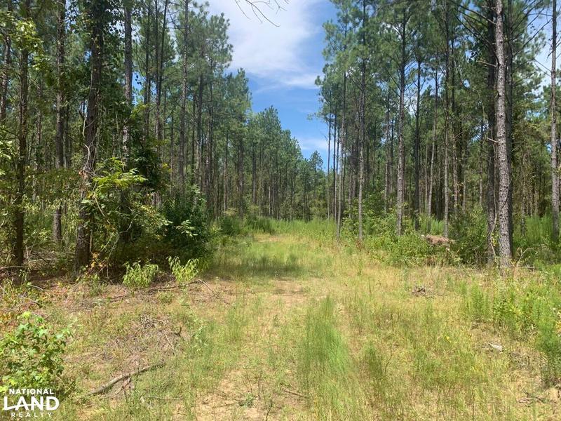 Grayson, La Salle Parish, LA Timberland Property, Undeveloped Land, Hunting Property for sale Property ID: 418858589