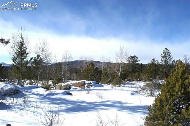 285 CHATEAU VISTA DR, Florissant, CO 80816 Land For Sale  MLS# 6441666