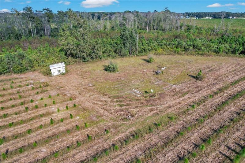 2000 SELLERS RD # 5, Baxley, GA 31513 Farm For Sale  MLS# 1644749