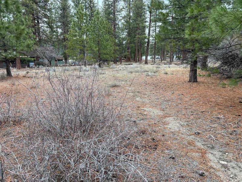 Montague, Siskiyou County, CA Undeveloped Land, Homesites for sale Property ID: 418632224