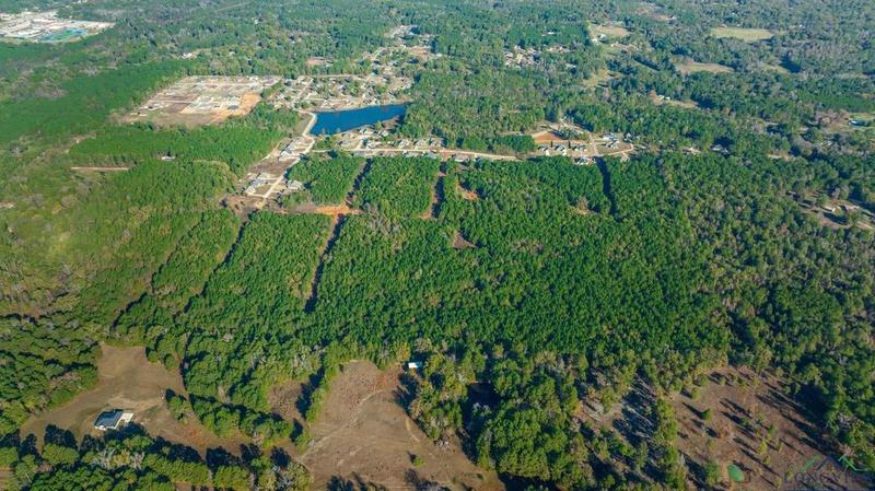 Tbd S SEGO LILY RD E/SID DIANA, TX, Diana, TX 75640 for Sale