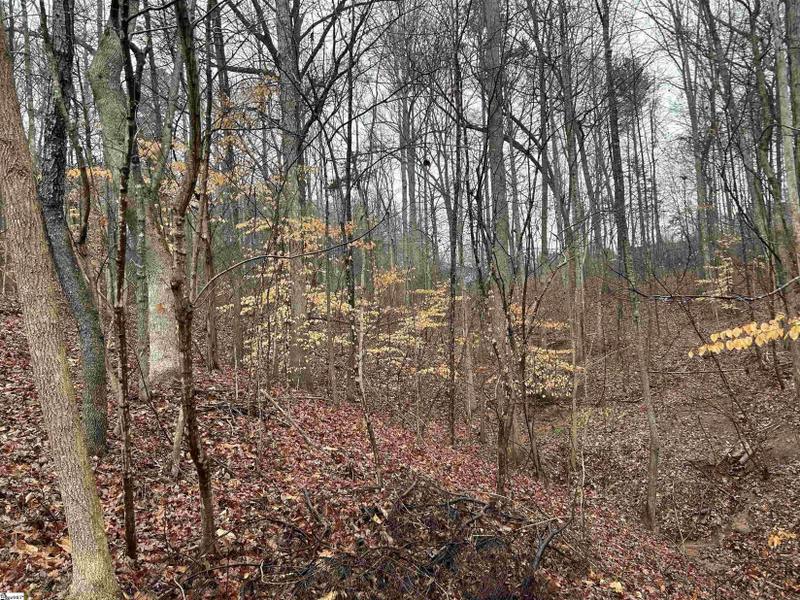 Fair Play, Oconee County, SC Undeveloped Land, Homesites for sale Property ID: 418756783
