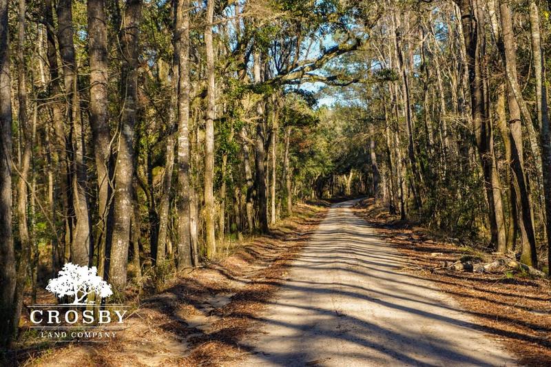 Yemassee, Colleton County, SC Recreational Property, Hunting Property for sale Property ID: 418854614