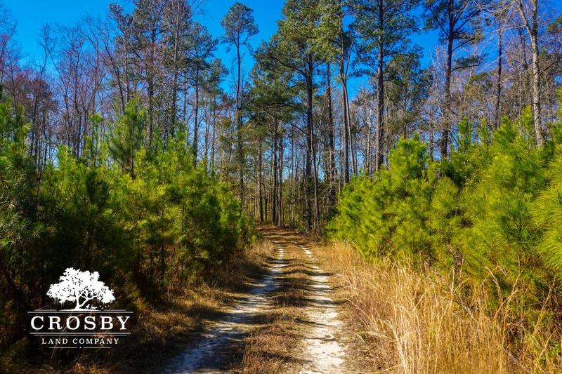 Lodge, Colleton County, SC Recreational Property, Hunting Property for sale Property ID: 418854613