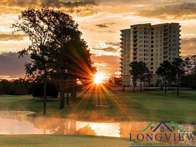 2801 WEXFORD DR APT 1004, Tyler, TX 75709 Condominium For Sale  MLS# 20240700
