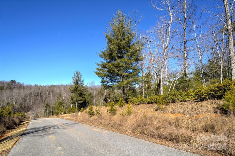 93 Ridge Point Road, Unit 17, Nebo, NC 28761 for Sale