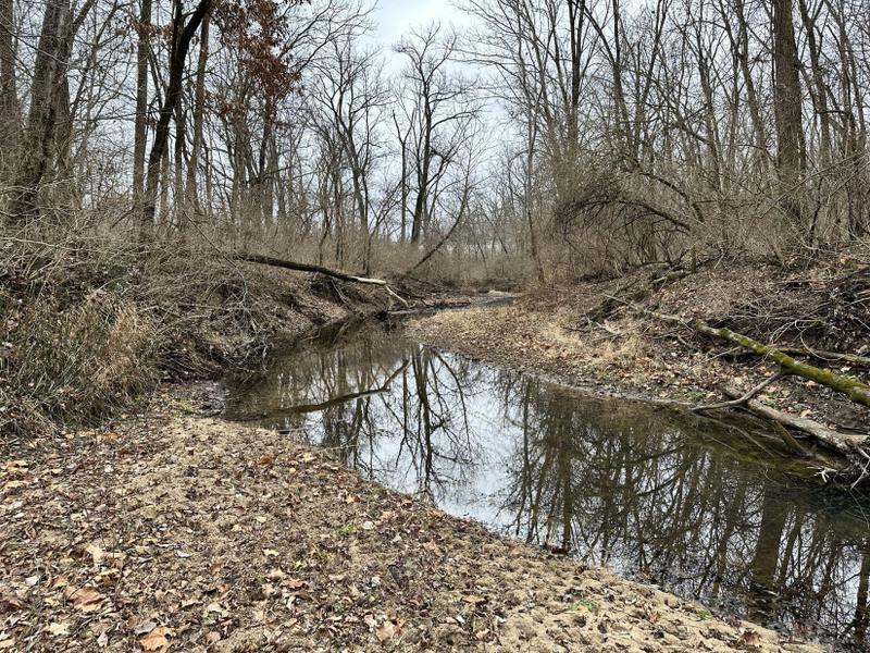 Effingham, Effingham County, IL Farms and Ranches, Timberland Property, Hunting Property for sale Property ID: 418665470