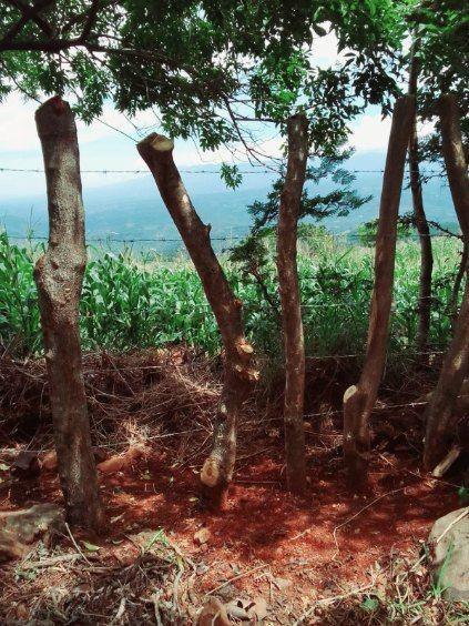 5 Escuinapa, Las Crucitas, for Sale