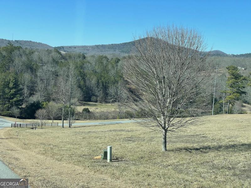 0 MADELINE WAY, Blairsville, GA 30512 Single Family Residence For Sale  MLS# 10244536