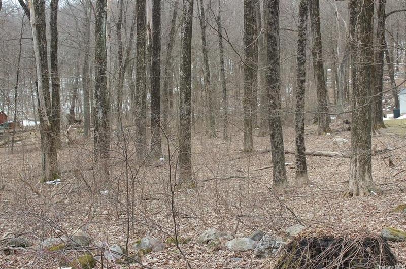 000 Route 343, Millbrook, NY 12522 - MLS H6283443 for Sale